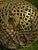 Modern Gold-Tone Metal Spheres, 15” Decorative Pair for Hanging or Stacking For Sale - Image 3 of 11