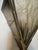 Glass 1920s Pair of Frnech Art Deco Sconces Signed Noverdy For Sale - Image 7 of 14