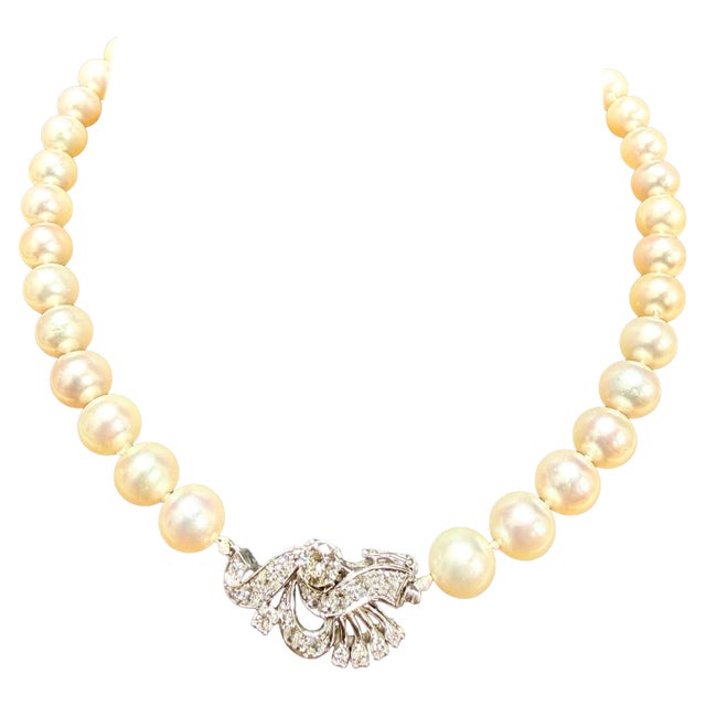 Introducing the 8.5 mm Akoya Japan Pearl single Strand choker Necklace, complete with a 18 Karat white Gold clasp with...