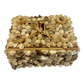Mid 20th Century Vintage Seashell Encrusted Lidded Trinket Box For Sale