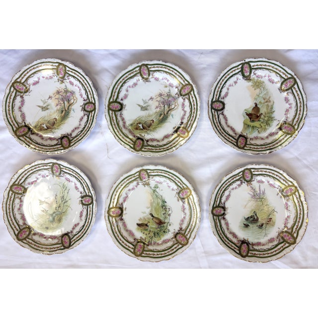 Early 1900's Austrian L. Strauss & Sons Scalloped Edge Porcelain Bird Plates- Set of 6 For Sale - Image 10 of 12