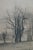 Black Antique William De La Montagne Cary Signed Cows Riverscape Etching 26" For Sale - Image 8 of 10