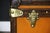 Antique Cabin Trunk in Orange Canvas from Louis Vuitton, 1900s For Sale - Image 3 of 18