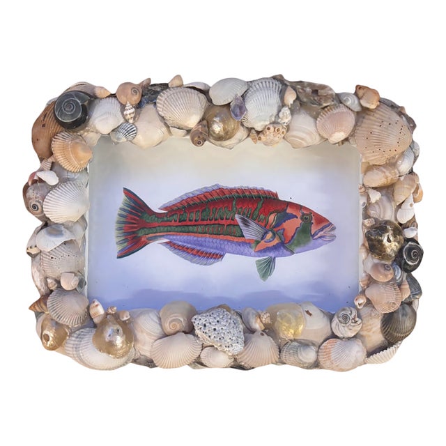 Polynesian Fish in Handmade Shell Frame For Sale