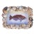 Polynesian Fish in Handmade Shell Frame For Sale