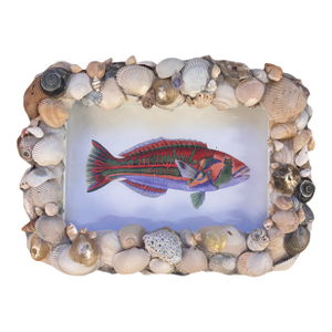 Polynesian Fish in Handmade Shell Frame