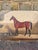 Late 1800s beautifully painted equine portrait, an unframed British school oil painting on board depicting a bay horse...