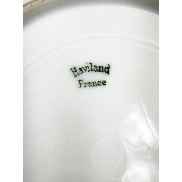 Antique Haviland Limoges Scottish Clan Graham "N'oublie" Crest - Set of 4 For Sale - Image 10 of 10