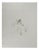 Salvador Dali, Nude, Brother Ogrin, The Hermit, 1970, Engraving For Sale