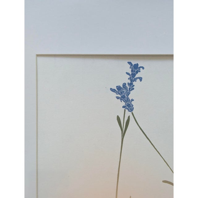 Henry Evans Botanical Linocut Prints Framed- Set of 4 For Sale - Image 16 of 17