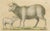 Brodtmann, Spanish Sheep, Ewe, Lamb & Ram, Lithograph, 1816 For Sale - Image 4 of 9