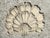 Vintage Concrete Shell Wall Plaque For Sale - Image 12 of 17