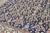 Textile Antique Lattice Design Bordered Rug, 9.11 x 12.6 For Sale - Image 7 of 11