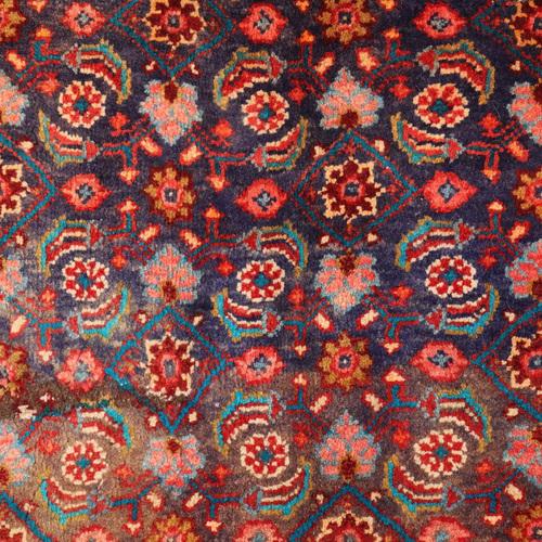 Antique Bidjar Rug in Cotton & Wool For Sale - Image 3 of 12
