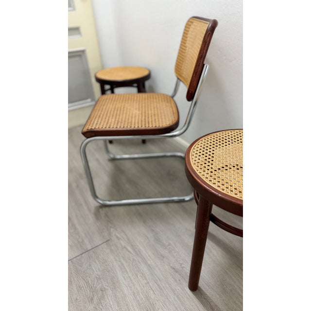 Model S32 Dining Chair with Woven Cane and Brown Wood Frame by Marcel Breuer for Thonet, 1981, Set of 4 For Sale - Image 9 of 15