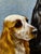 The Faithful Companions – Trio of Cocker Spaniels, Oil Painting in the Manner of Maud Alice Earl For Sale - Image 14 of 18