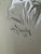 1940s 1940s Original Signed Graphite Illustration of Young Girl in Bonnet, 11.5 × 9 In. For Sale - Image 5 of 6