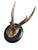 Cabin Roe Deer Trophy 127 Black Foret Antlers For Sale - Image 3 of 5