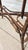 Antique French Bamboo Side Table Japonisme Aesthetic Movement Oval Rattan Cane Occasional Table Victorian Chinoiserie Furniture For Sale - Image 10 of 17