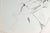 Evelyne Luez, Young Nude Man, Drawing on Paper For Sale - Image 3 of 8