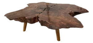 Andrianna Shamaris Amorphous Rosewood Coffee Table