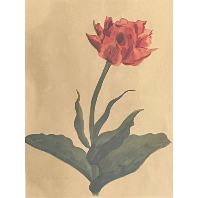 1940s Electra Tulip Lithograph Print For Sale - Image 4 of 6