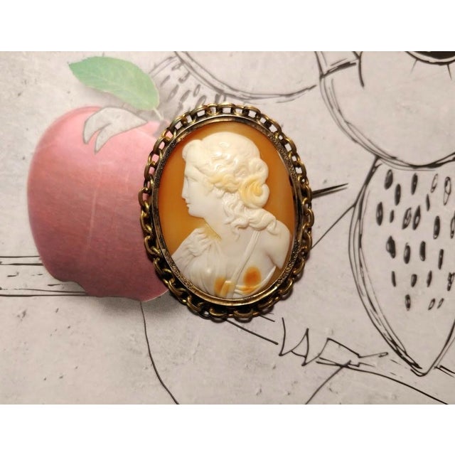 Tangerine Antique Victorian Cameo Shell Brooch Greek Young Lady For Sale - Image 8 of 8
