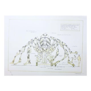François Delaroziere, The Giant Spider, 2008, Lithograph For Sale