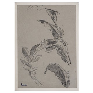 Maximilien Luce, Study of Leaves, Original Drawing For Sale