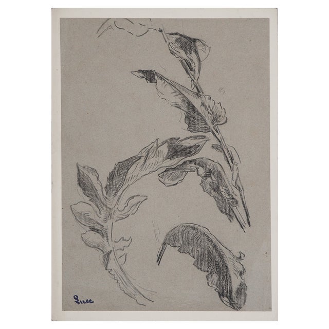 Maximilien Luce, Study of Leaves, Original Drawing For Sale