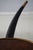 Brown Maitland Smith Burl Wood Horn Occasional Table For Sale - Image 8 of 11