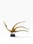 1950s Meloniski, Depicting a Bird in Flight, 1950s, Metal For Sale - Image 5 of 5