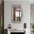 Contemporary Olmstead Rectangular Mirror For Sale - Image 3 of 11