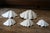 Contemporary Set of 5 Large Natural Nautical Seashells | Coastal Beach House Decor | Organic Sculptural Display For Sale - Image 3 of 18
