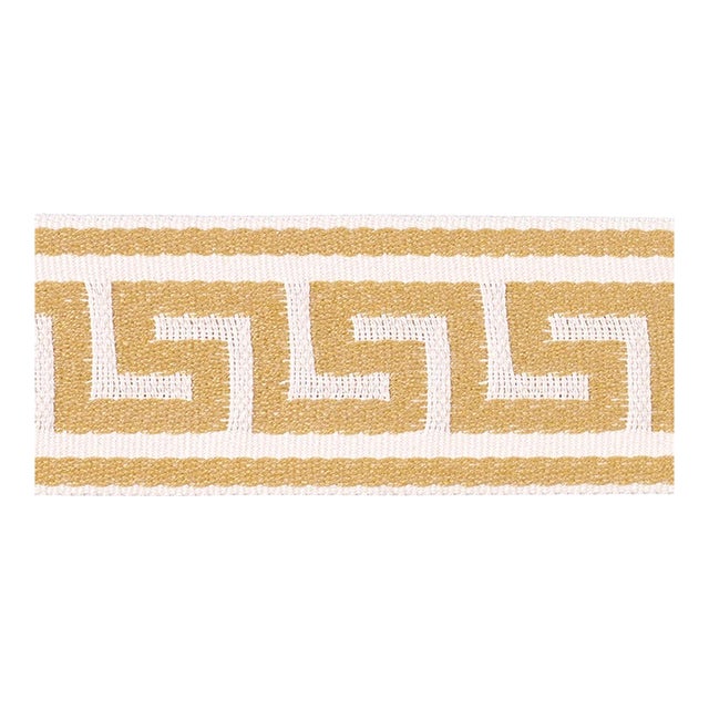 SAMPLE - Schumacher Ganton Tape Indoor/Outdoor In Yellow For Sale