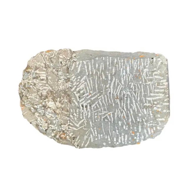 15th Century & Earlier Large Fossilized Trilobite Specimen in Stone Matrix For Sale - Image 5 of 9