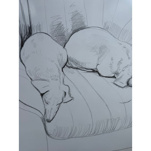 Black and White Dogs Exhibition Poster by David Hockney, UK, 1994 For Sale - Image 10 of 12
