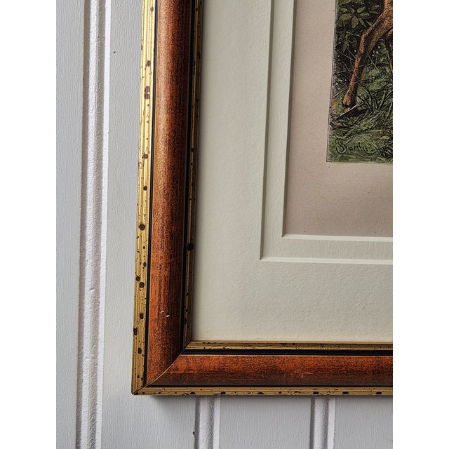 Late 19th Century Louis Prang Deer Engravings in Burl Wood Style Frames - Set of 4 For Sale - Image 12 of 16