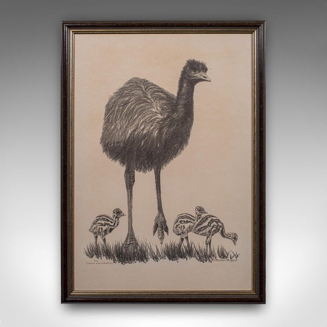English Vintage Wildlife Picture Trio, Australian Interest, Framed Prints, Animal Art For Sale - Image 3 of 12
