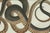 Early 19th Century Bertuch, Four Exotic Snakes, 1802, Engraving For Sale - Image 5 of 10