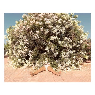 Figurative Botanical Color Image, 2019, Photographic Print For Sale