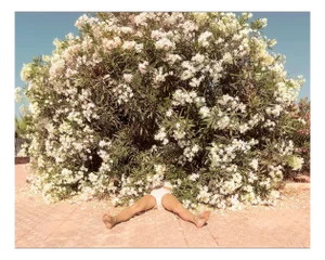 Figurative Botanical Color Image, 2019, Photographic Print