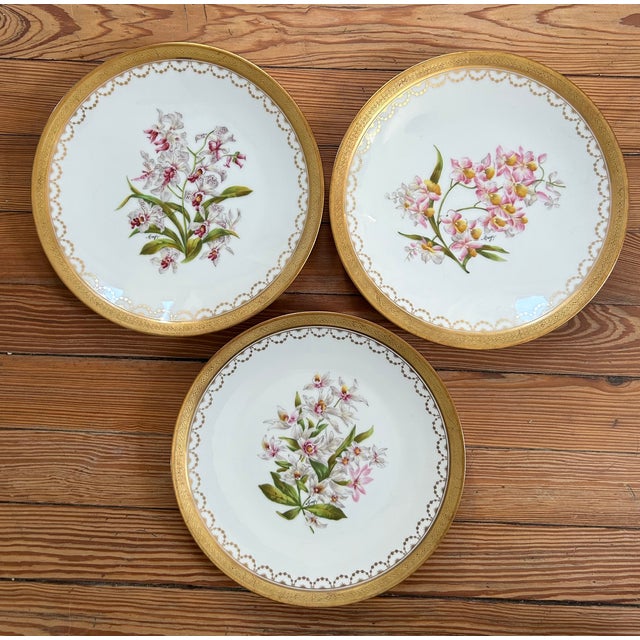 Limoges, France Set of 10 Antique T&v Limoges Hand-Painted Orchid Cabinet Plates for Ovington Bros., Circa 1895 For Sale - Image 4 of 12