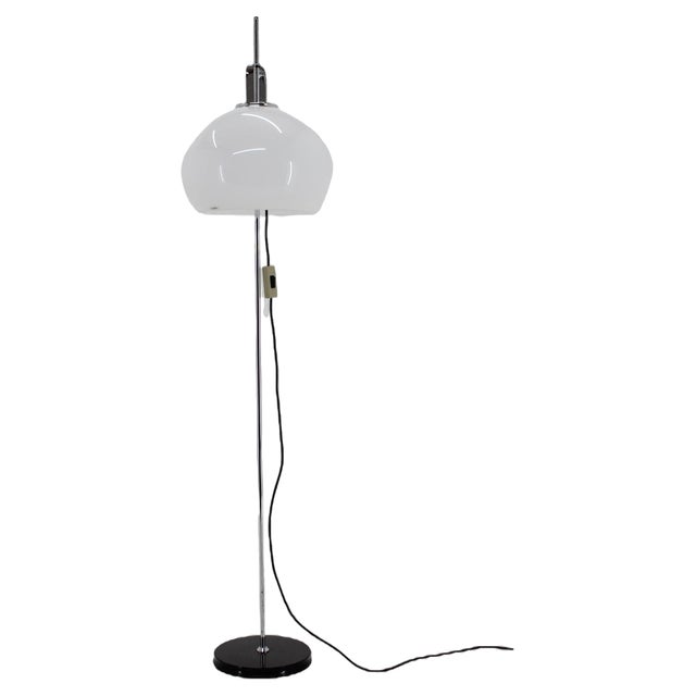 Adjustable Floor Lamp attributed to Guzzini for Meblo, Italy, 1970s For Sale