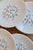 1950s Vintage Earthenware Dinner Plates with Marie-Claire Pattern from Gien, 1950s, Set of 6 For Sale - Image 5 of 8