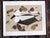 Vintage Charley Harper Modernist Abstracted Bird Lithographs (10.75" X 8.25") - Set of 9 For Sale In Cincinnati - Image 6 of 11