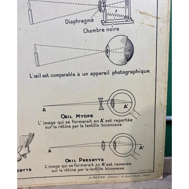 Vintage Cardboard Senses Poster For Sale - Image 11 of 15