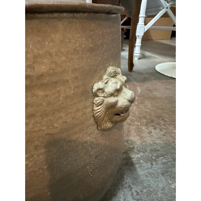 Brass Lions Head Footed Planter For Sale - Image 4 of 4