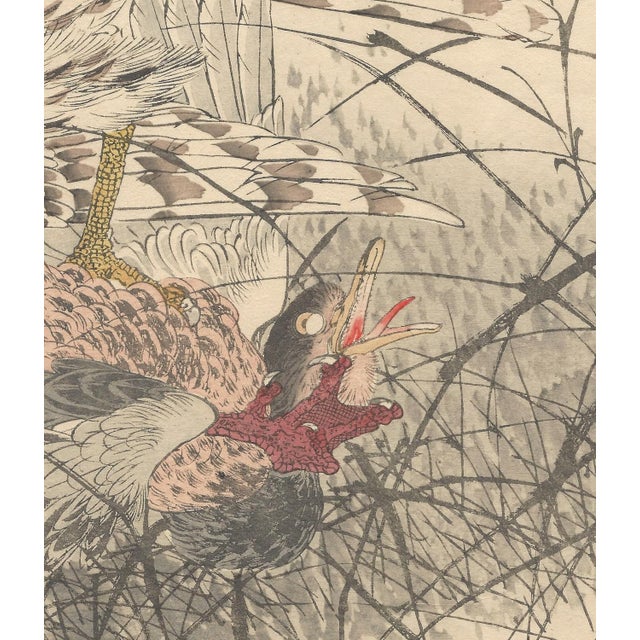 Imao Keinen, Eurasian Goshawk, 1892, Print For Sale - Image 10 of 18