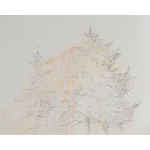 1981 “De Rerum Natura Ii” Mixed Media Drawing by Gerald G. Boyce For Sale In Indianapolis - Image 6 of 10